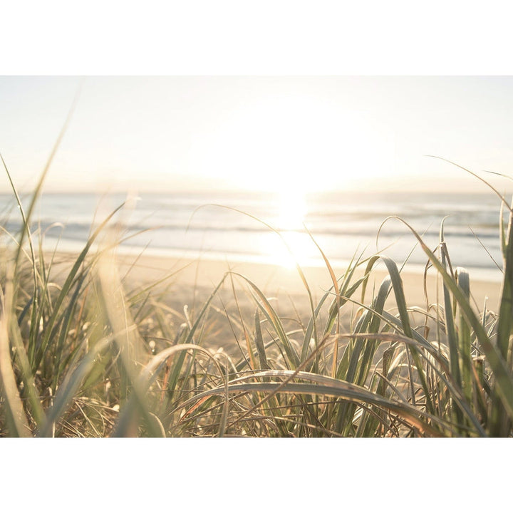 Beach Grass Sunset Wall Art Print from our Australian Made Framed Wall Art, Prints & Posters collection by Profile Products Australia