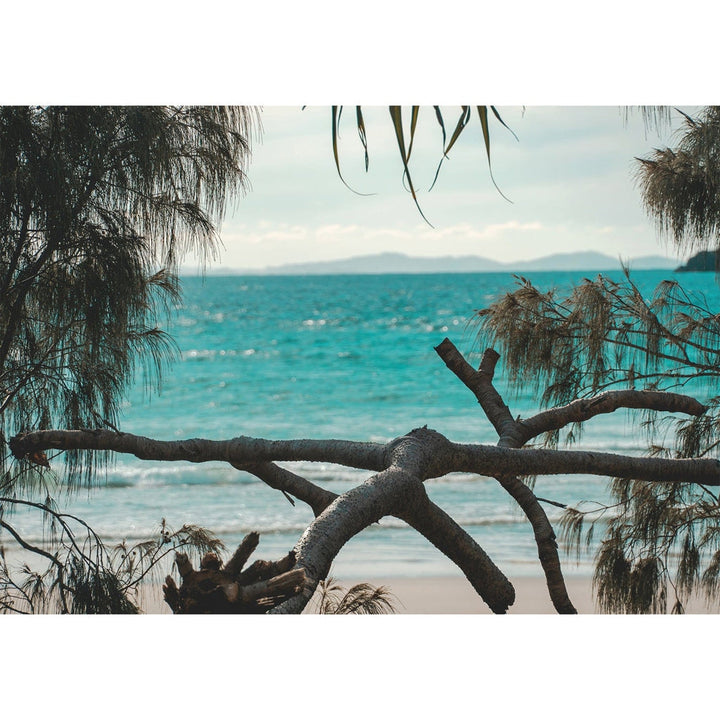 Byron Ocean View 1 Wall Art Print from our Australian Made Framed Wall Art, Prints & Posters collection by Profile Products Australia