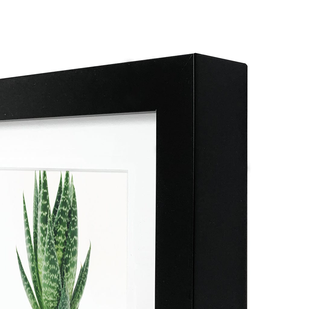 Decorator Panoramic Matt Black Timber Photo Frame from our Australian Made Picture Frames collection by Profile Products Australia
