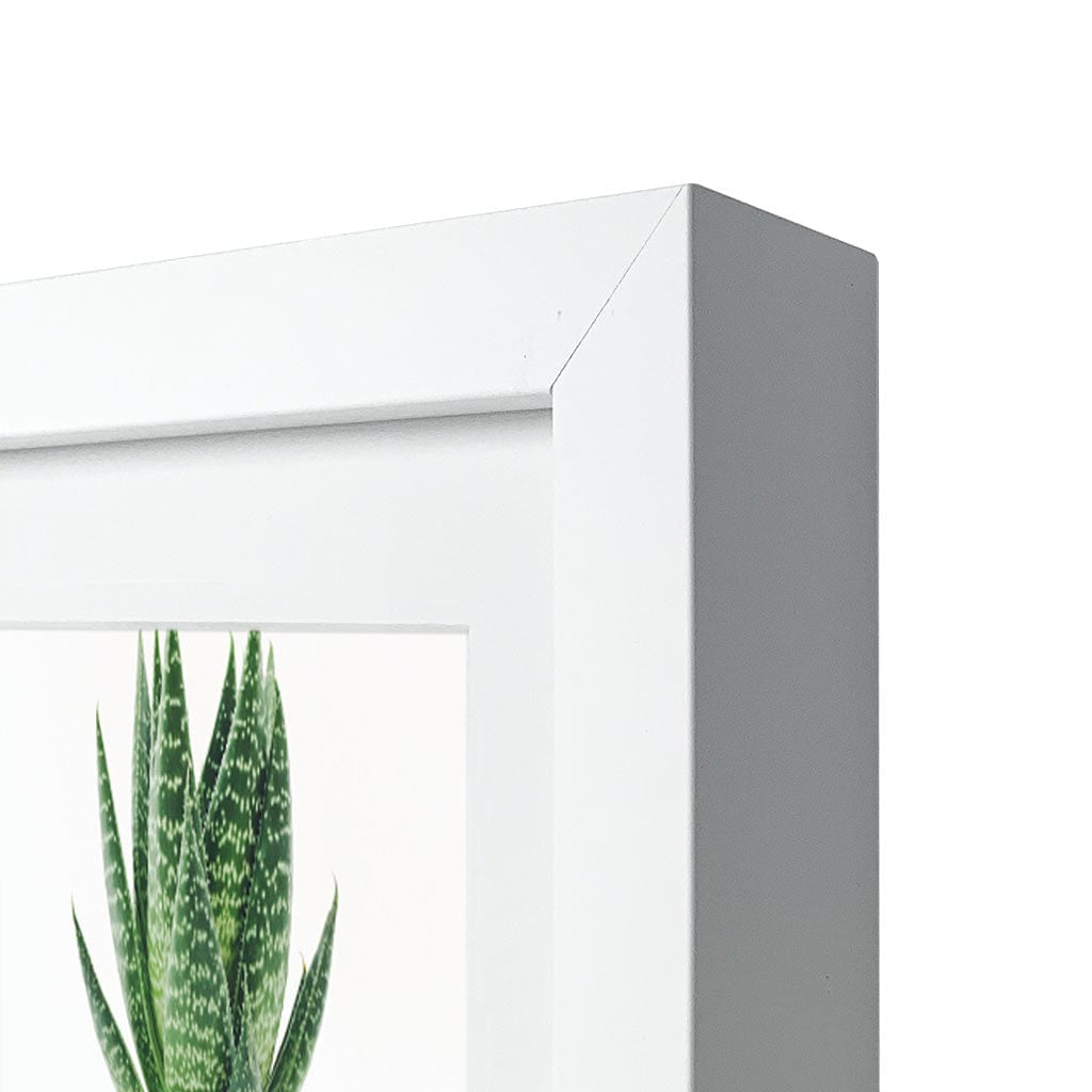 Decorator Panoramic Matt White Timber Photo Frame from our Australian Made Picture Frames collection by Profile Products Australia