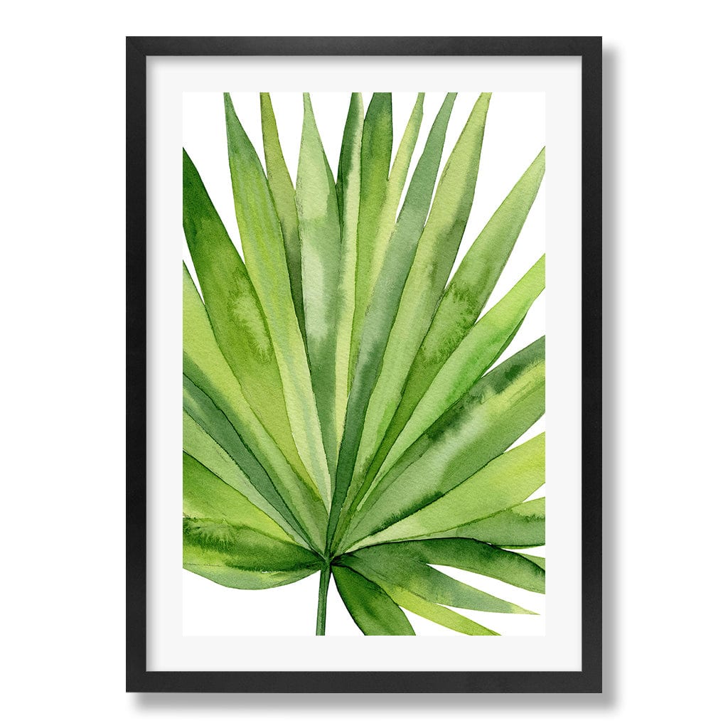 Fan Palm Leaf Wall Art Print from our Australian Made Framed Wall Art, Prints & Posters collection by Profile Products Australia