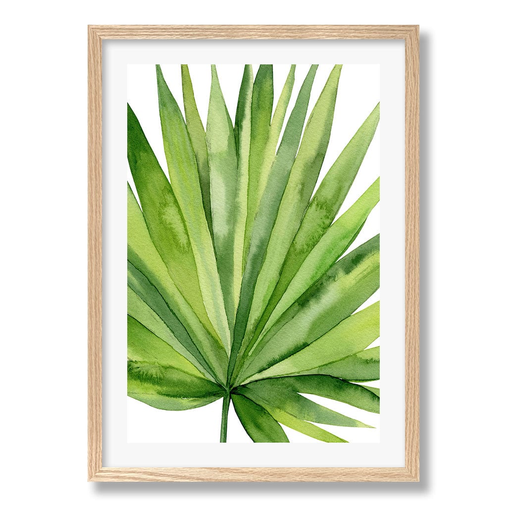 Fan Palm Leaf Wall Art Print from our Australian Made Framed Wall Art, Prints & Posters collection by Profile Products Australia