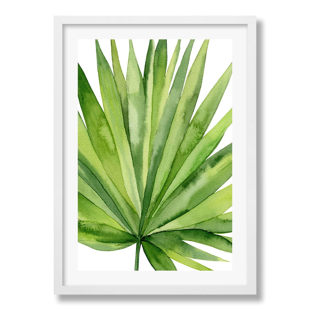 Fan Palm Leaf Wall Art Print from our Australian Made Framed Wall Art, Prints & Posters collection by Profile Products Australia