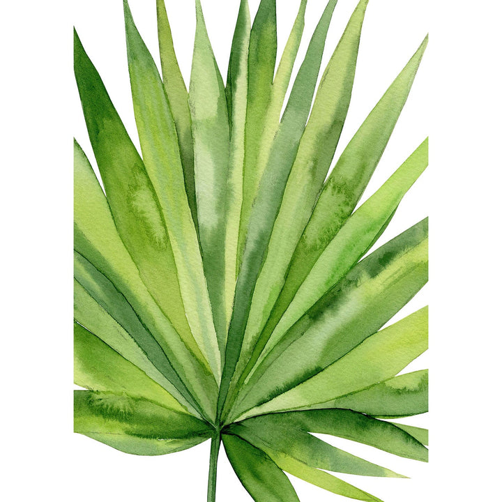 Fan Palm Leaf Wall Art Print from our Australian Made Framed Wall Art, Prints & Posters collection by Profile Products Australia