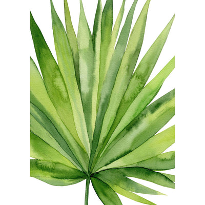 Fan Palm Leaf Wall Art Print from our Australian Made Framed Wall Art, Prints & Posters collection by Profile Products Australia