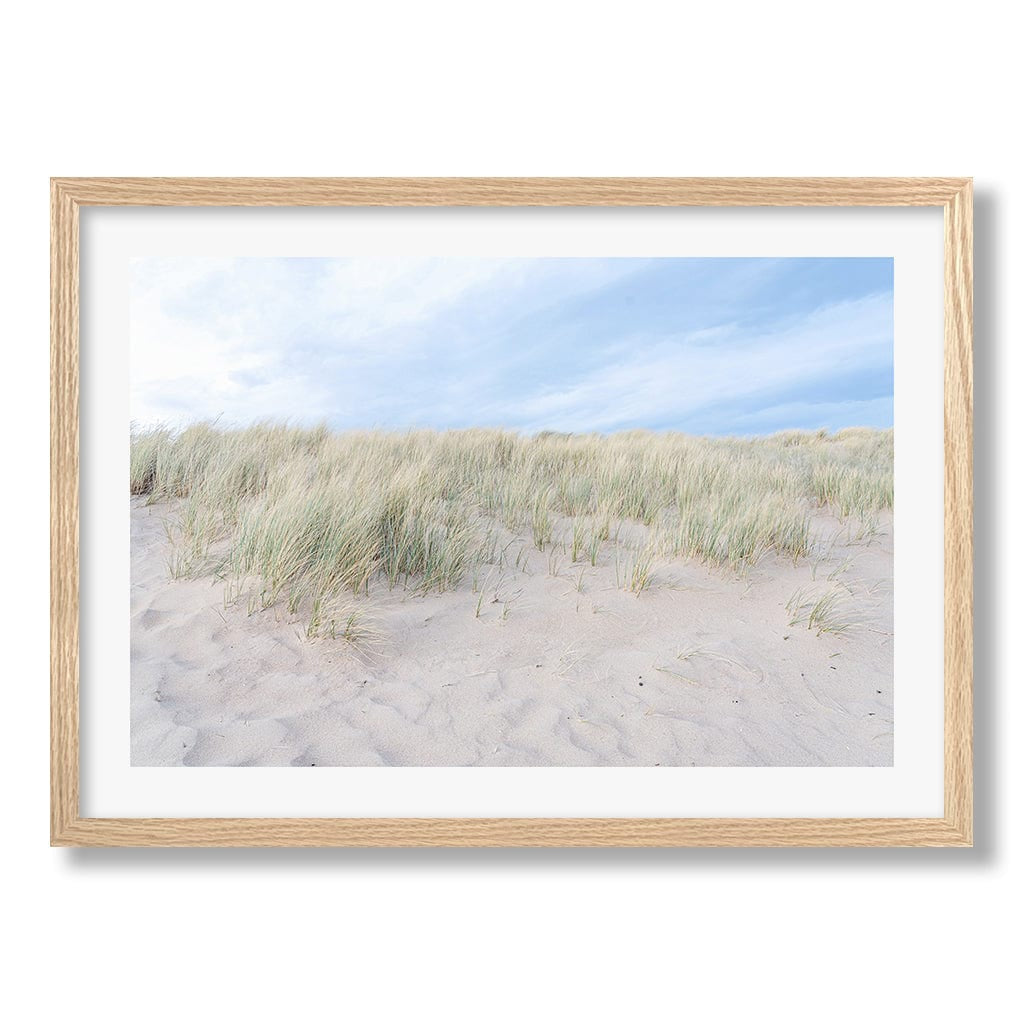 Grassy Dunes Wall Art Print from our Australian Made Framed Wall Art, Prints & Posters collection by Profile Products Australia