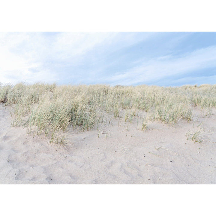 Grassy Dunes Wall Art Print from our Australian Made Framed Wall Art, Prints & Posters collection by Profile Products Australia