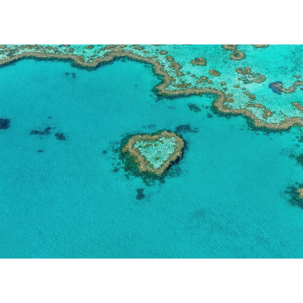 Heart Reef Wall Art Print from our Australian Made Framed Wall Art, Prints & Posters collection by Profile Products Australia