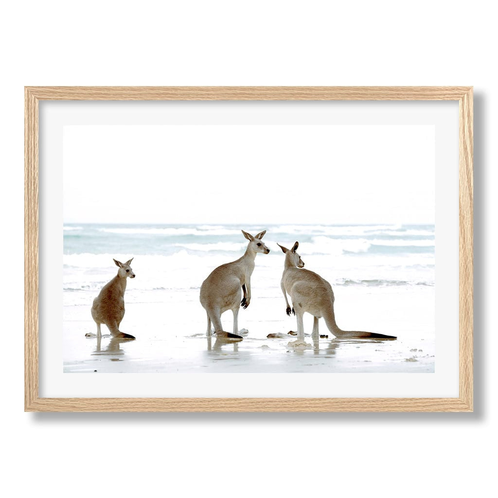 Kangaroo Beach Wall Art Print from our Australian Made Framed Wall Art, Prints & Posters collection by Profile Products Australia