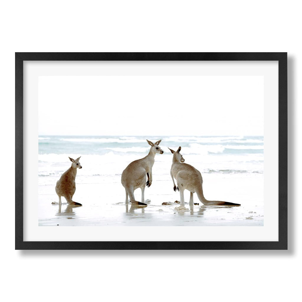 Kangaroo Beach Wall Art Print from our Australian Made Framed Wall Art, Prints & Posters collection by Profile Products Australia