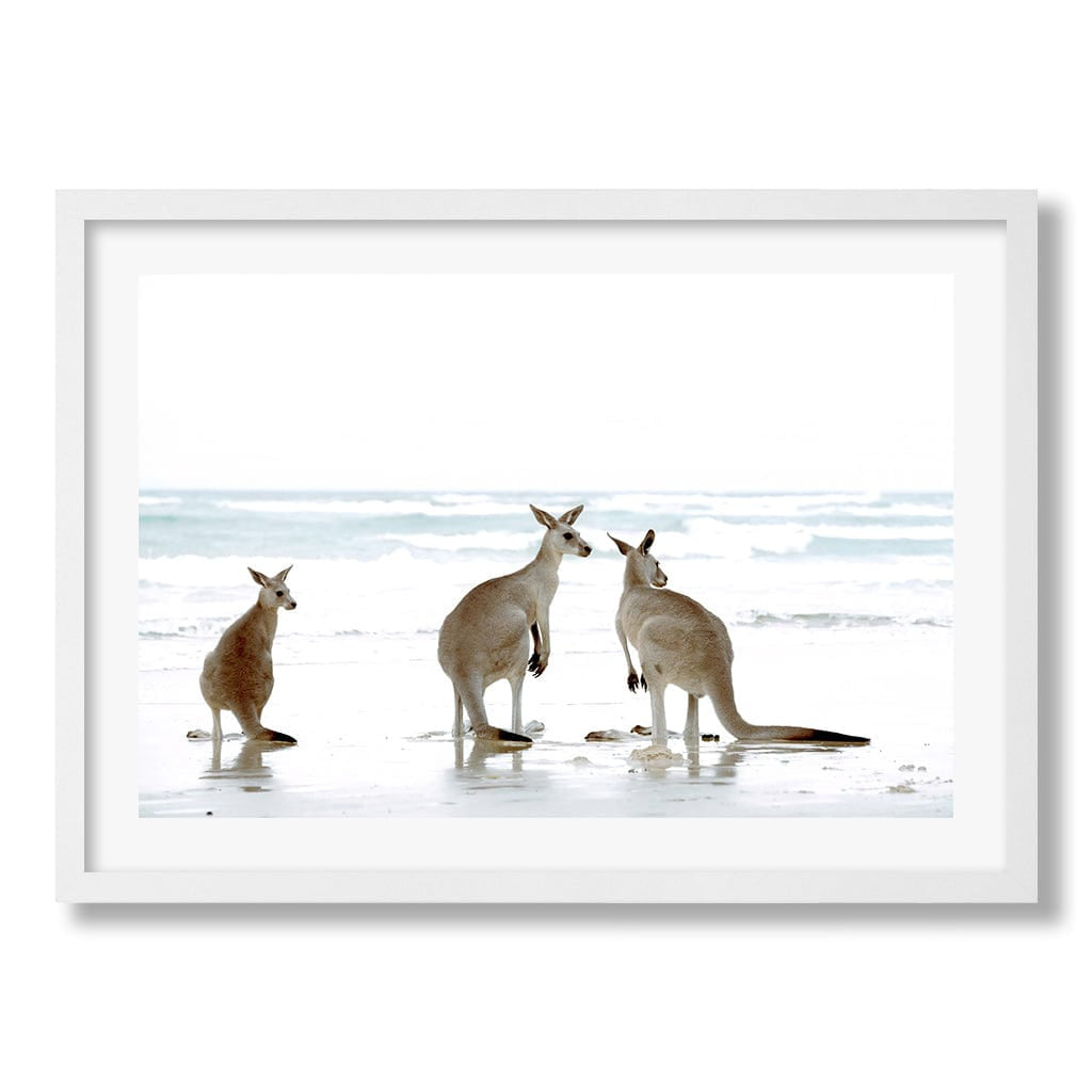 Kangaroo Beach Wall Art Print from our Australian Made Framed Wall Art, Prints & Posters collection by Profile Products Australia