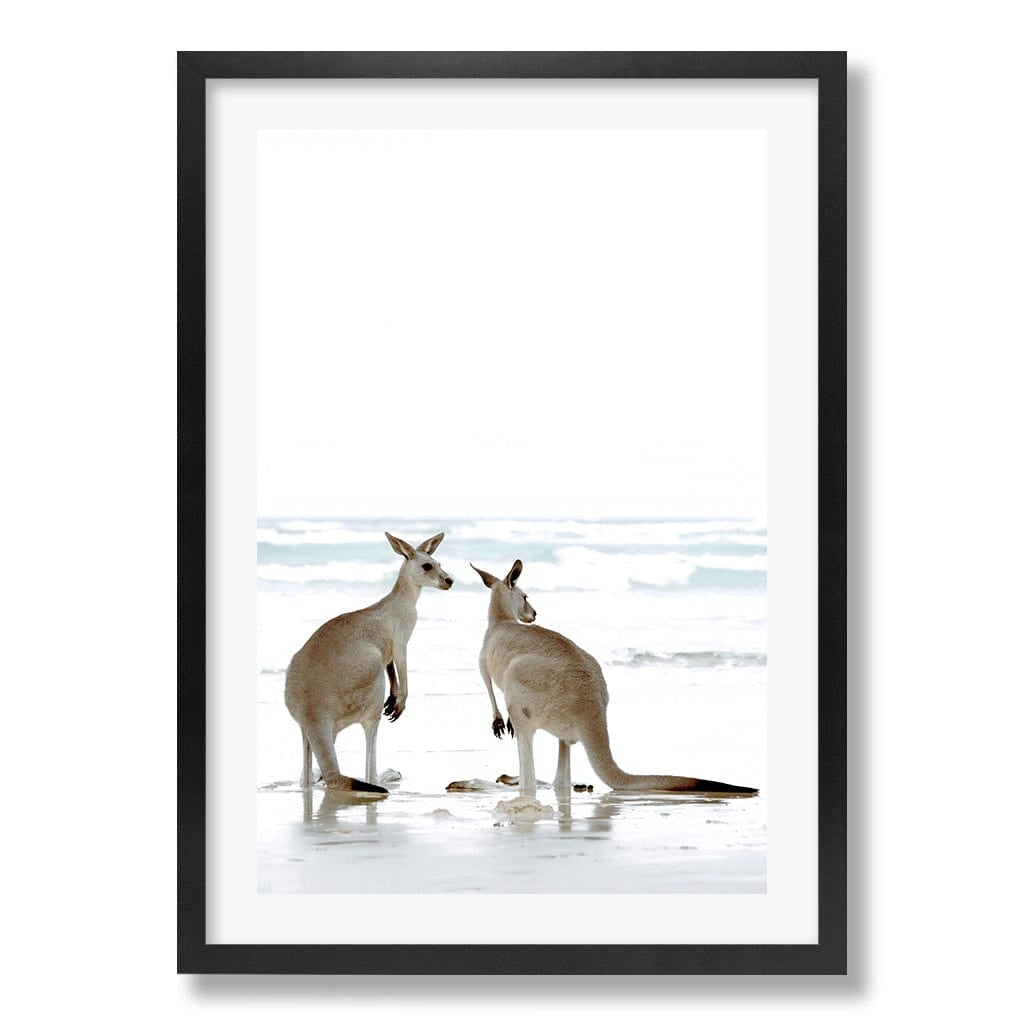 Kangaroo Couple Wall Art Print from our Australian Made Framed Wall Art, Prints & Posters collection by Profile Products Australia