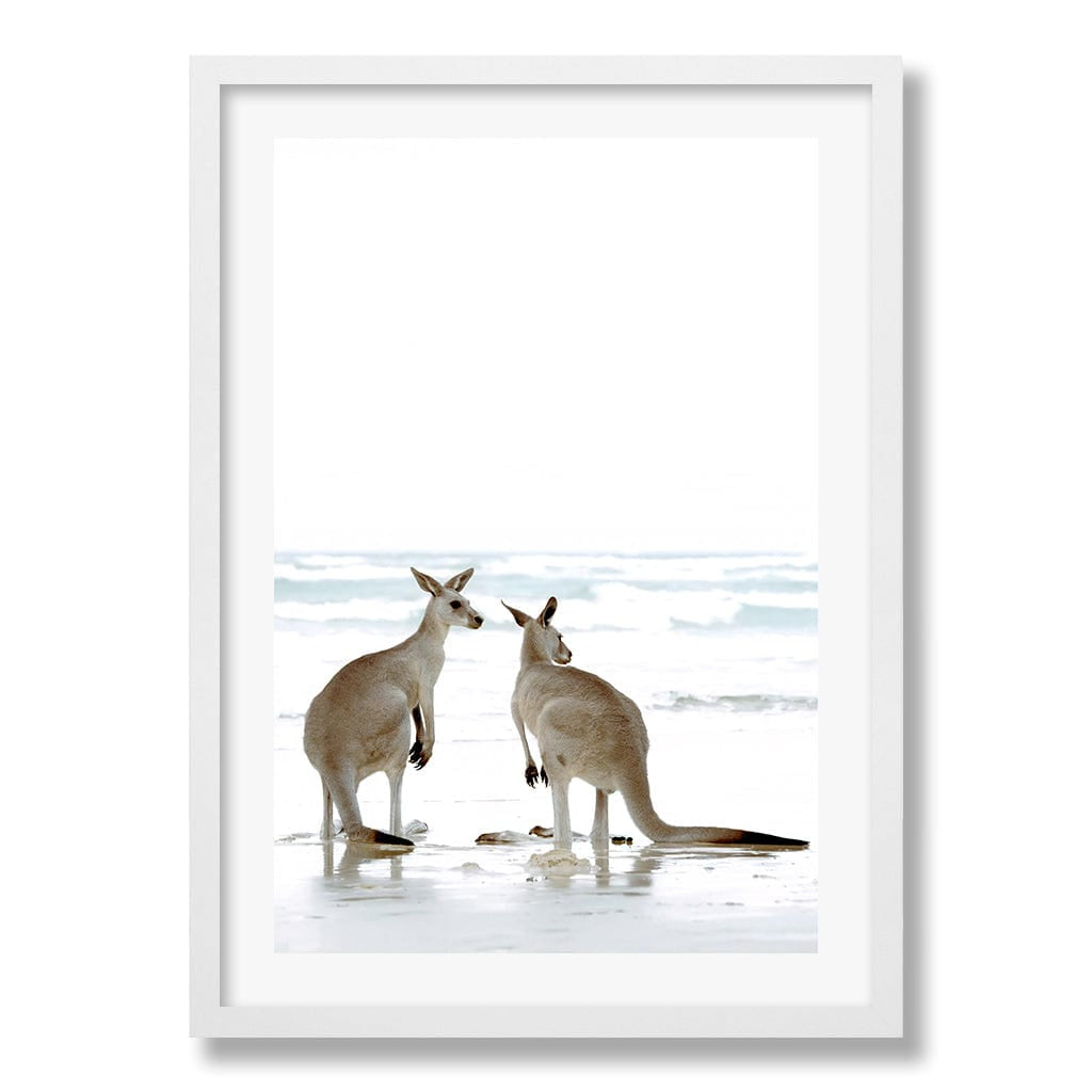 Kangaroo Couple Wall Art Print from our Australian Made Framed Wall Art, Prints & Posters collection by Profile Products Australia