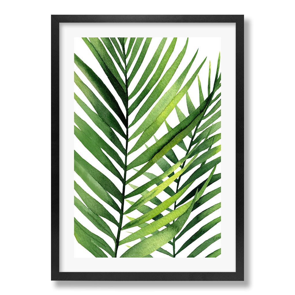 Kentia Palm Leaves Wall Art Print from our Australian Made Framed Wall Art, Prints & Posters collection by Profile Products Australia