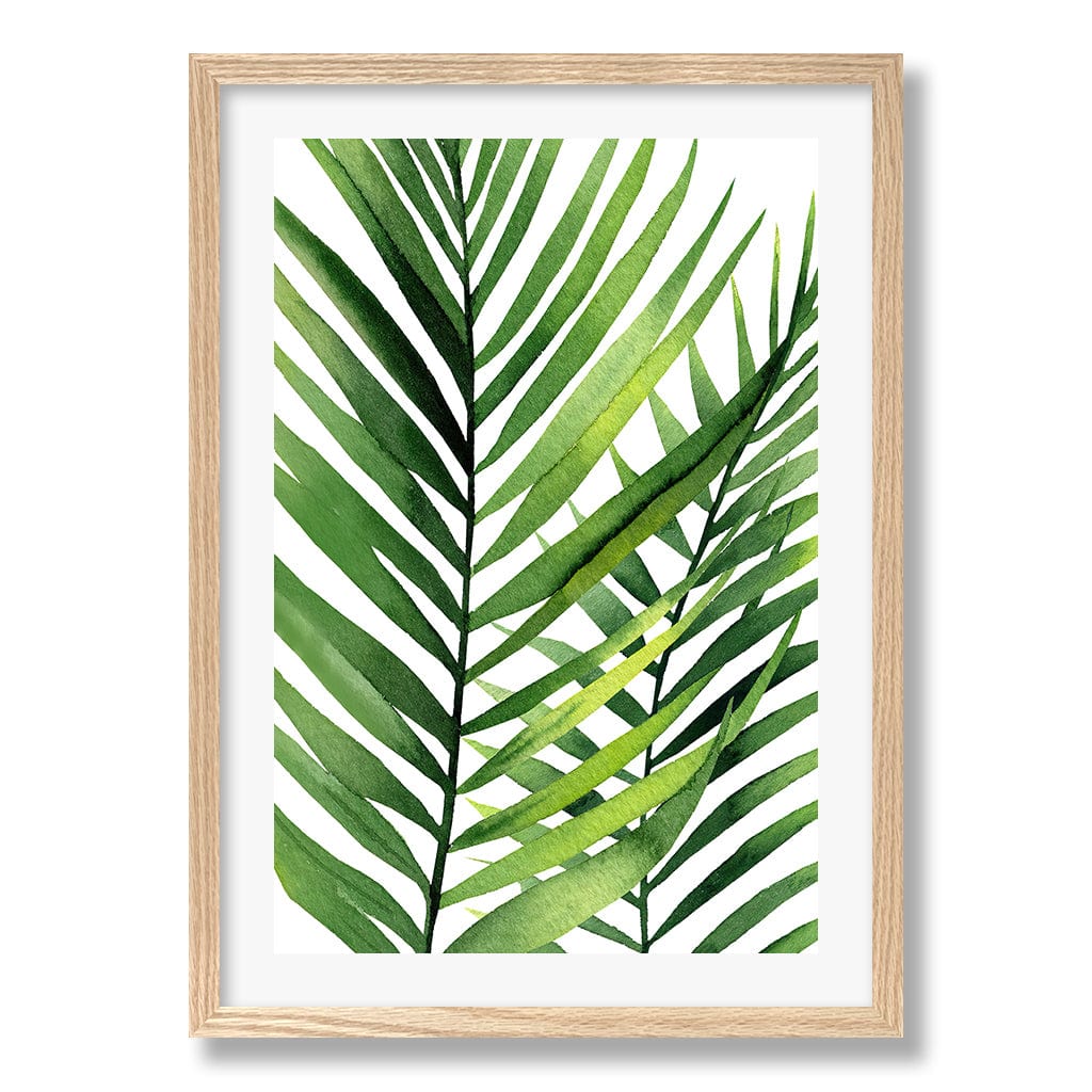 Kentia Palm Leaves Wall Art Print from our Australian Made Framed Wall Art, Prints & Posters collection by Profile Products Australia