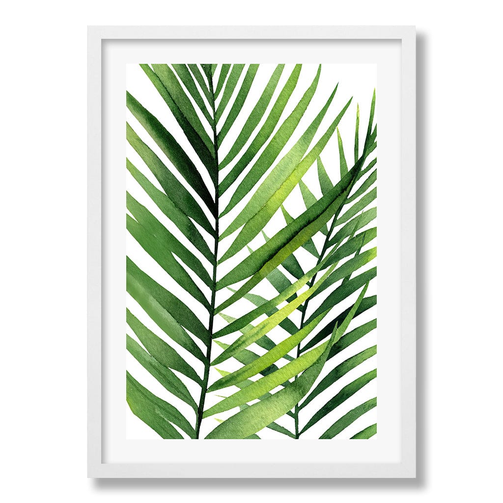 Kentia Palm Leaves Wall Art Print from our Australian Made Framed Wall Art, Prints & Posters collection by Profile Products Australia