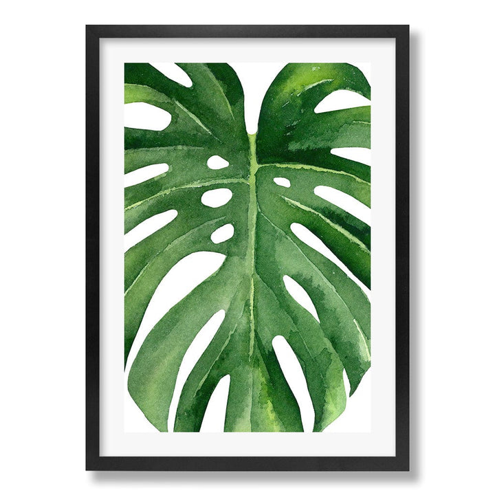 Monstera Leaf Wall Art Print from our Australian Made Framed Wall Art, Prints & Posters collection by Profile Products Australia