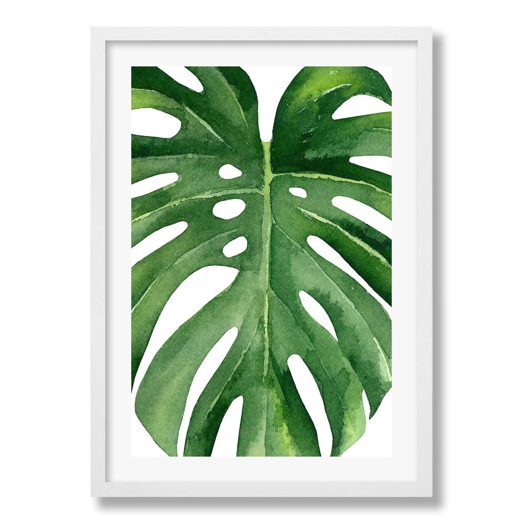 Monstera Leaf Wall Art Print from our Australian Made Framed Wall Art, Prints & Posters collection by Profile Products Australia