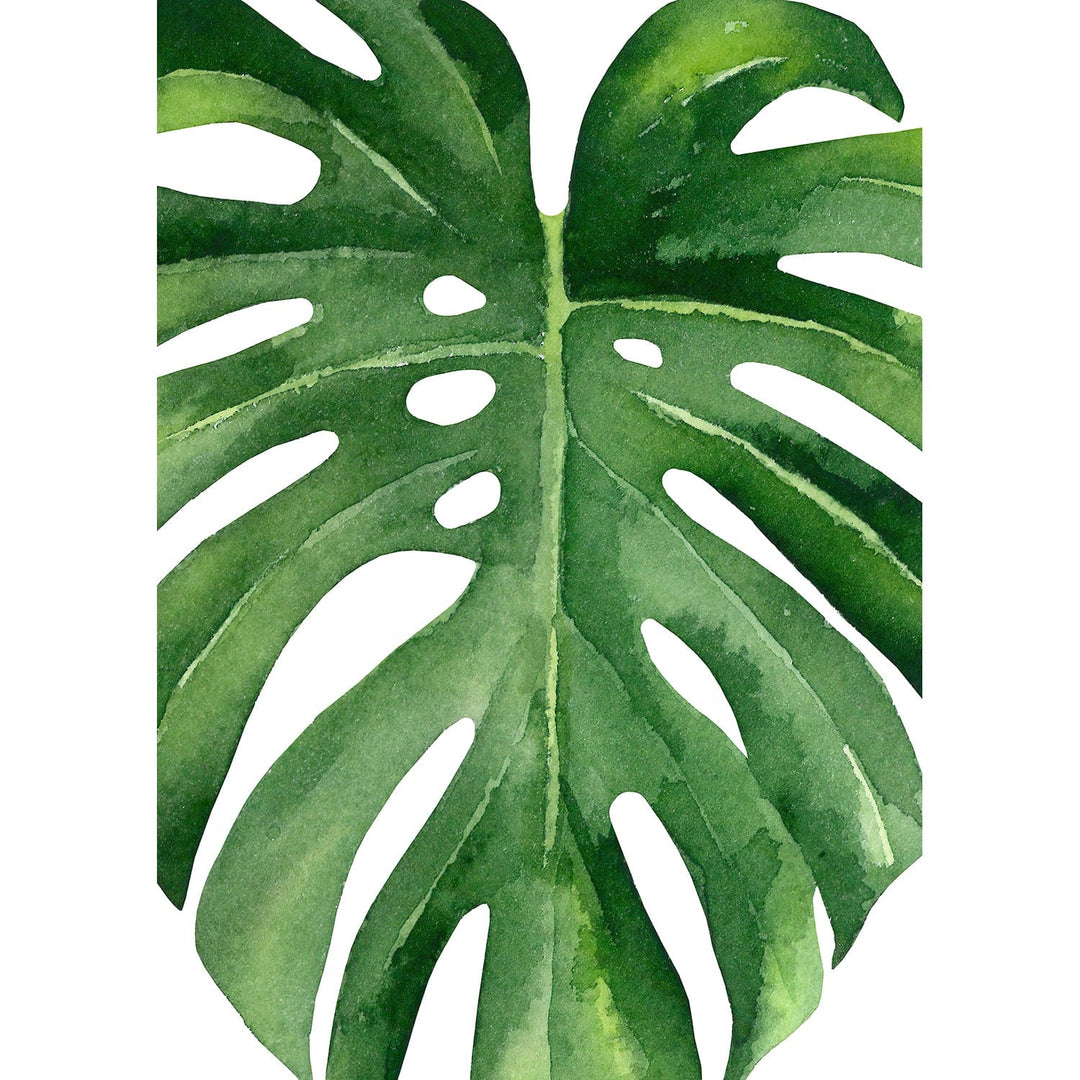 Monstera Leaf Wall Art Print from our Australian Made Framed Wall Art, Prints & Posters collection by Profile Products Australia