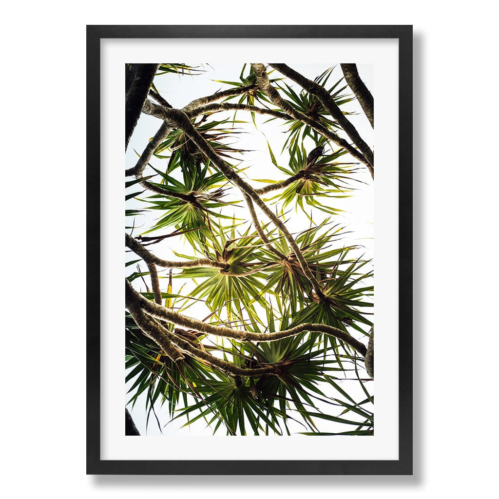 Noosa Palms Wall Art Print from our Australian Made Framed Wall Art, Prints & Posters collection by Profile Products Australia