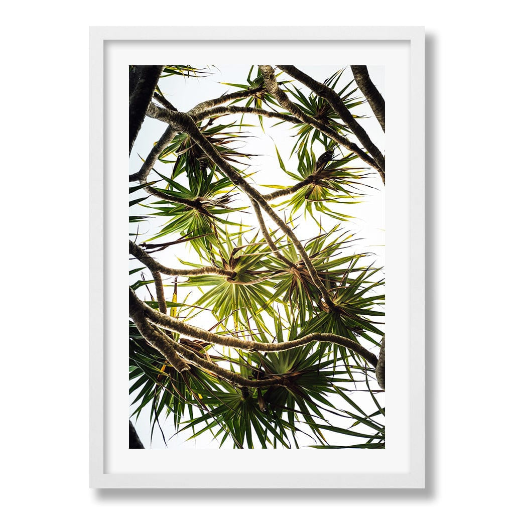 Noosa Palms Wall Art Print from our Australian Made Framed Wall Art, Prints & Posters collection by Profile Products Australia