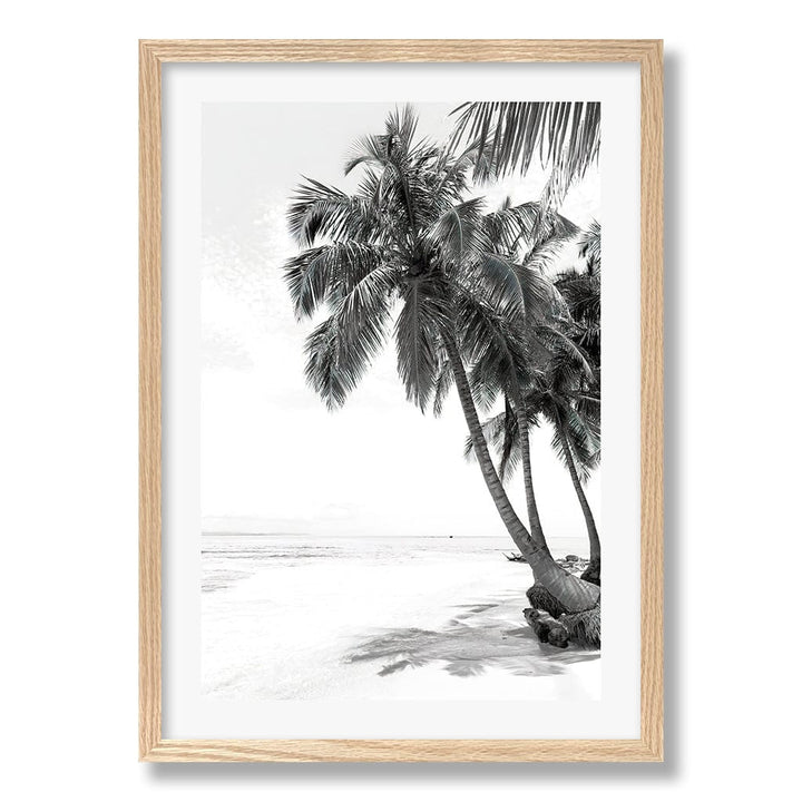 Palm Island Dreams B&W Wall Art Print from our Australian Made Framed Wall Art, Prints & Posters collection by Profile Products Australia