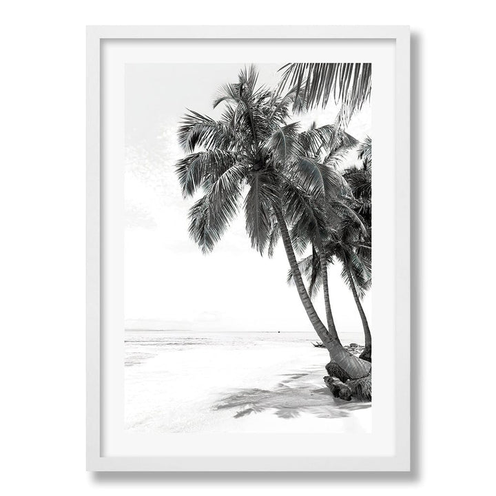 Palm Island Dreams B&W Wall Art Print from our Australian Made Framed Wall Art, Prints & Posters collection by Profile Products Australia