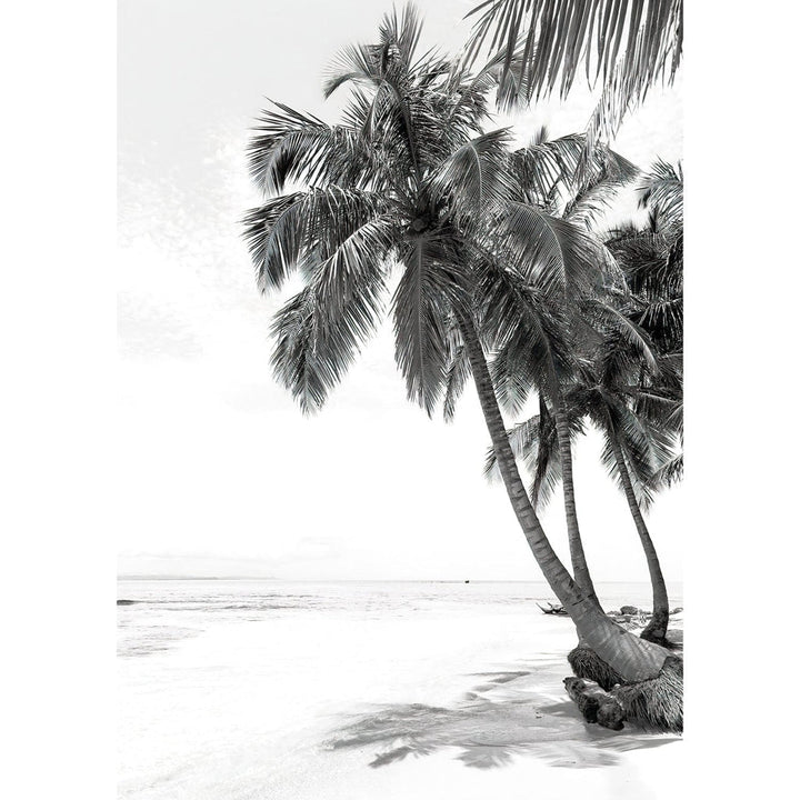 Palm Island Dreams B&W Wall Art Print from our Australian Made Framed Wall Art, Prints & Posters collection by Profile Products Australia