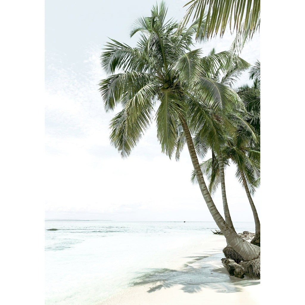 Palm Island Dreams Wall Art Print from our Australian Made Framed Wall Art, Prints & Posters collection by Profile Products Australia