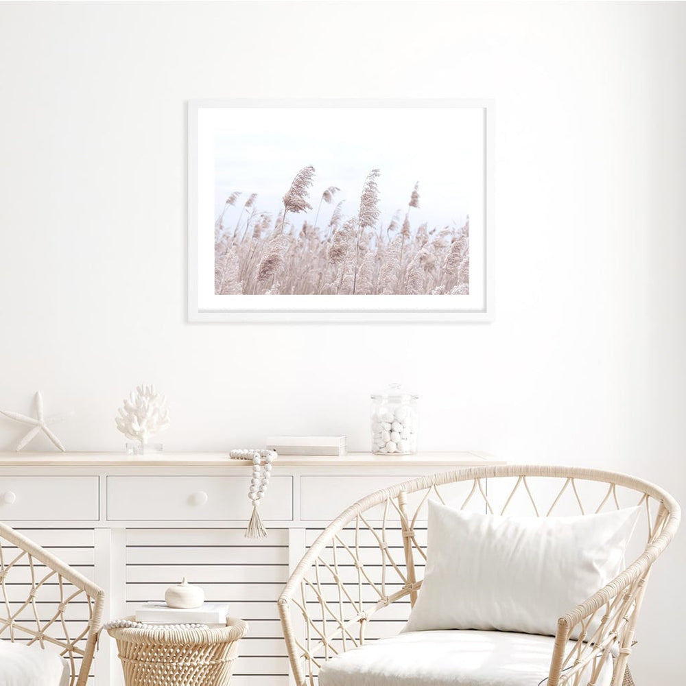 Pampas Grass 1 Wall Art Print from our Australian Made Framed Wall Art, Prints & Posters collection by Profile Products Australia