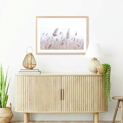 Pampas Grass 1 Wall Art Print from our Australian Made Framed Wall Art, Prints & Posters collection by Profile Products Australia