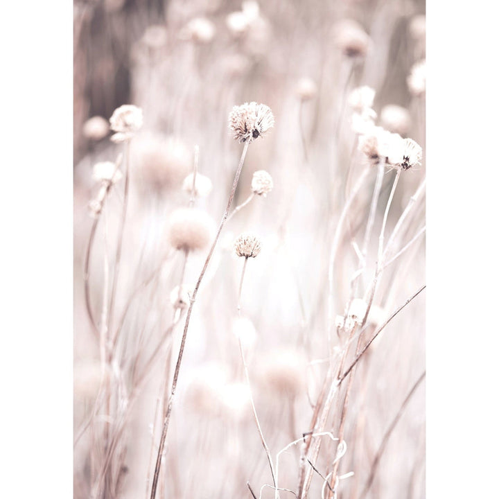 Soft Tone Grass Wall Art Print from our Australian Made Framed Wall Art, Prints & Posters collection by Profile Products Australia