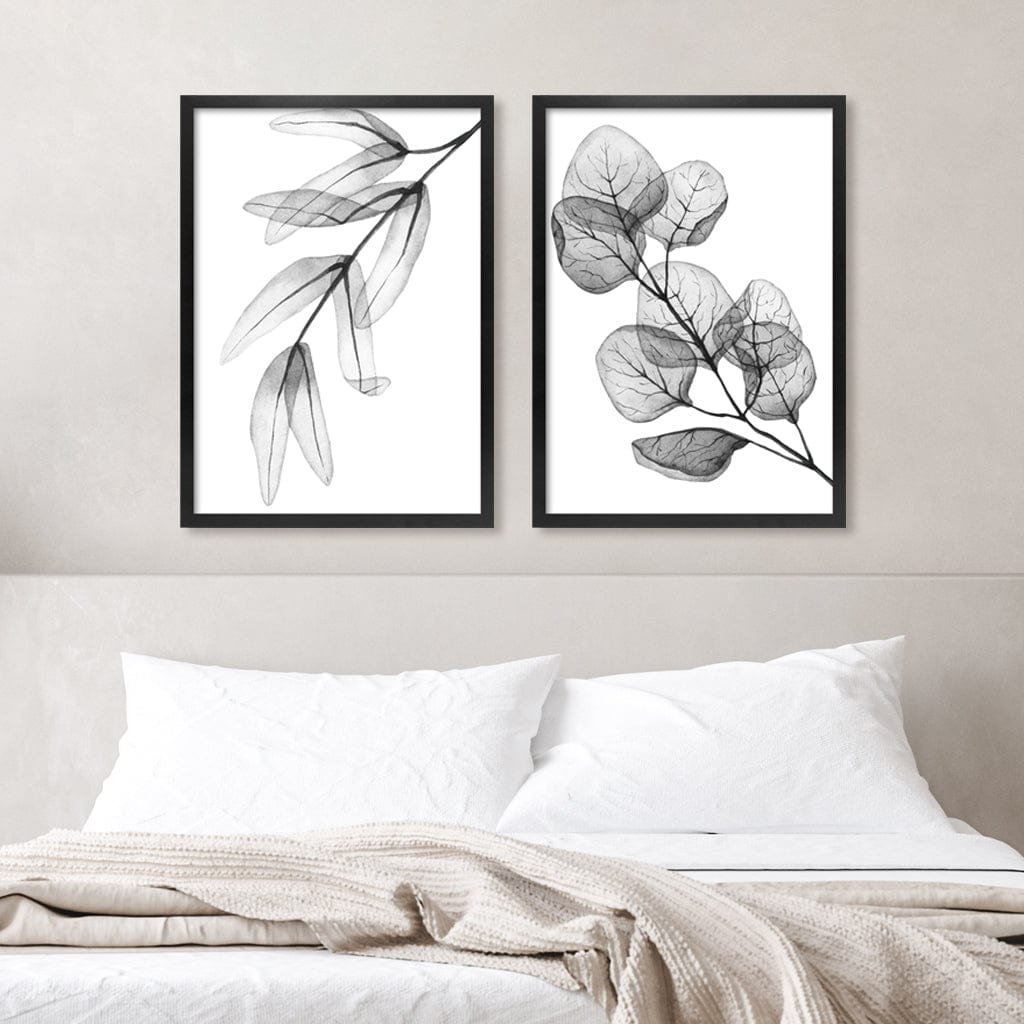 Transparent Eucalyptus Feather Leaves Wall Art Print from our Australian Made Framed Wall Art, Prints & Posters collection by Profile Products Australia