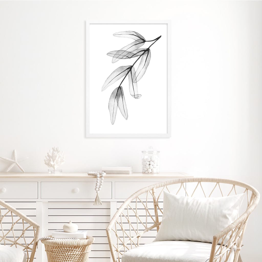 Transparent Eucalytpus Feather Leaves Wall Art Print from our Australian Made Framed Wall Art, Prints & Posters collection by Profile Products Australia