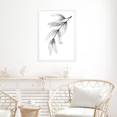Transparent Eucalytpus Feather Leaves Wall Art Print from our Australian Made Framed Wall Art, Prints & Posters collection by Profile Products Australia