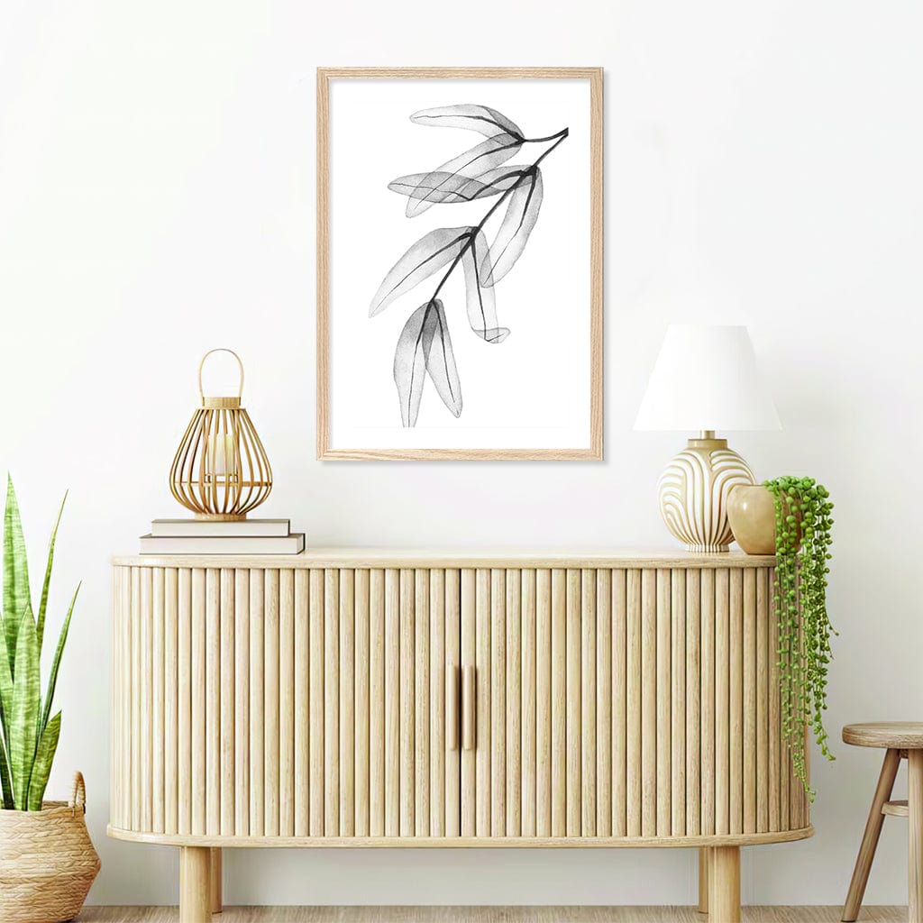 Transparent Eucalytpus Feather Leaves Wall Art Print from our Australian Made Framed Wall Art, Prints & Posters collection by Profile Products Australia