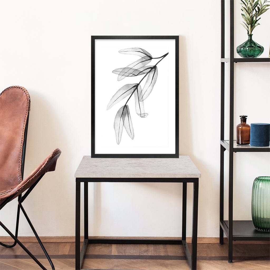 Transparent Eucalytpus Feather Leaves Wall Art Print from our Australian Made Framed Wall Art, Prints & Posters collection by Profile Products Australia