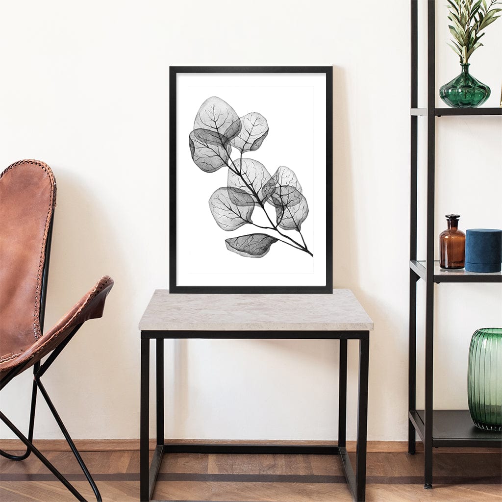 Transparent Eucalytpus Silver Dollar Leaves Wall Art Print from our Australian Made Framed Wall Art, Prints & Posters collection by Profile Products Australia