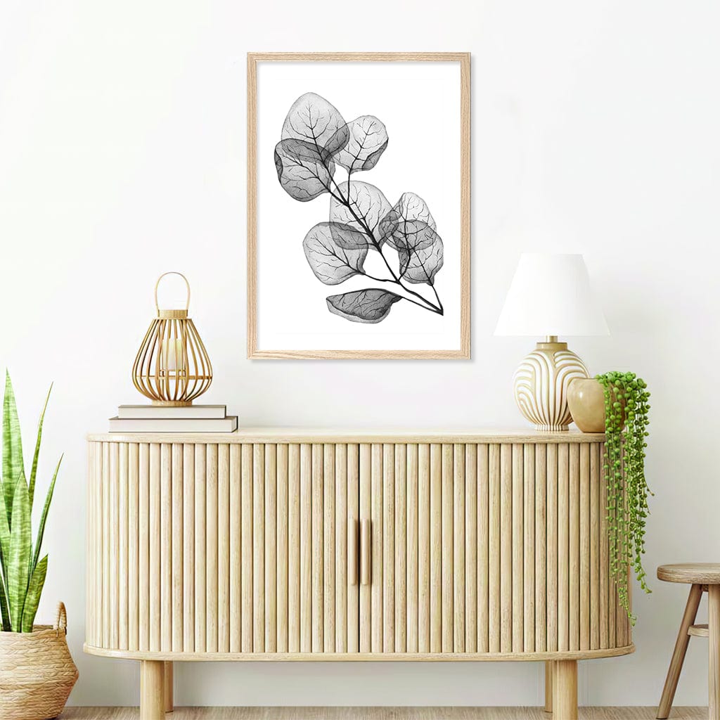 Transparent Eucalytpus Silver Dollar Leaves Wall Art Print from our Australian Made Framed Wall Art, Prints & Posters collection by Profile Products Australia