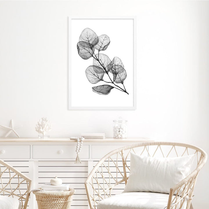 Transparent Eucalytpus Silver Dollar Leaves Wall Art Print from our Australian Made Framed Wall Art, Prints & Posters collection by Profile Products Australia